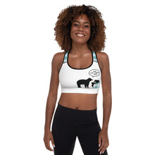 Load image into Gallery viewer, Padded Sports Bra Aqua Plaid Bear Time For A Bear Hug