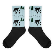 Load image into Gallery viewer, Socks Mama & Sixcublets