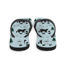 Load image into Gallery viewer, Flip-Flops Mama & Cublets