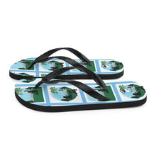 Load image into Gallery viewer, Flip-Flops Bear Stories Bearly Sleeping